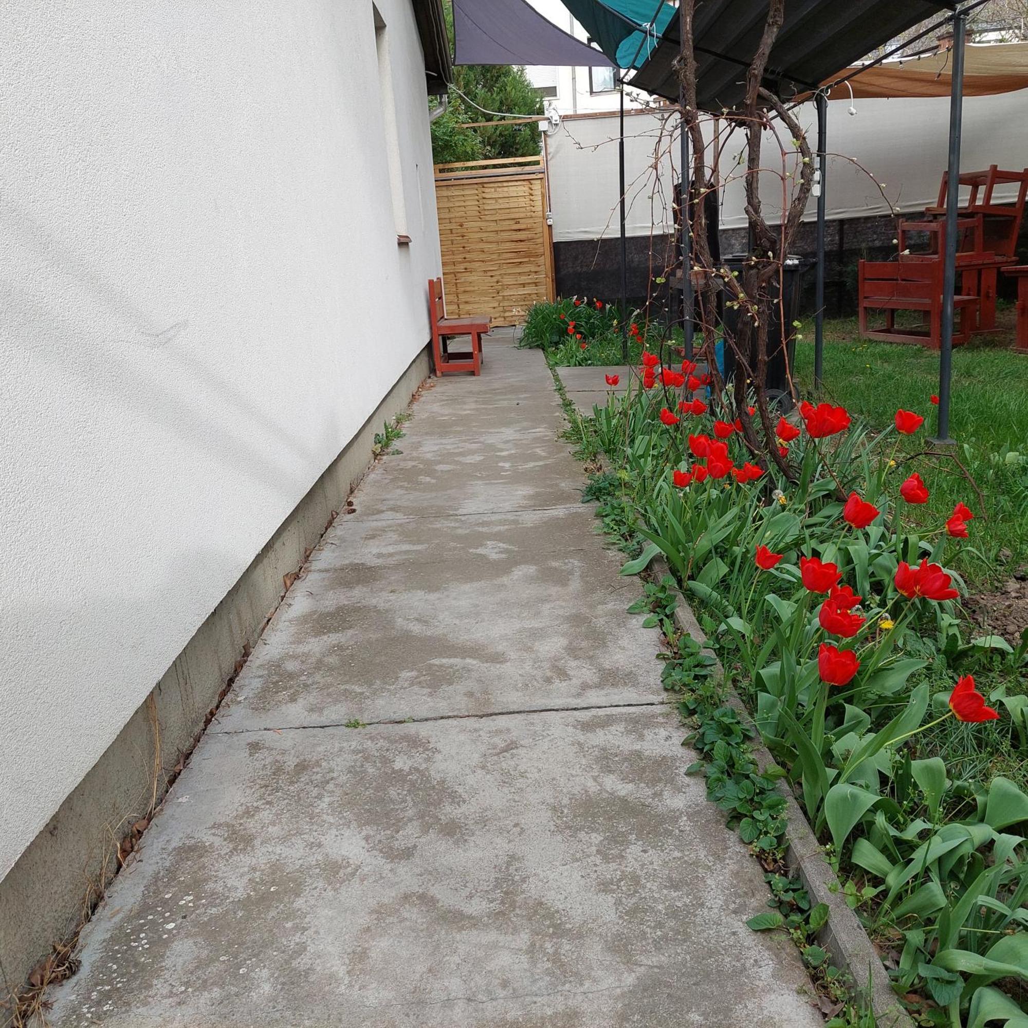 Ujszeged Apartman Exterior photo